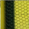 PVC HEXAGONAL WIRE NETTING